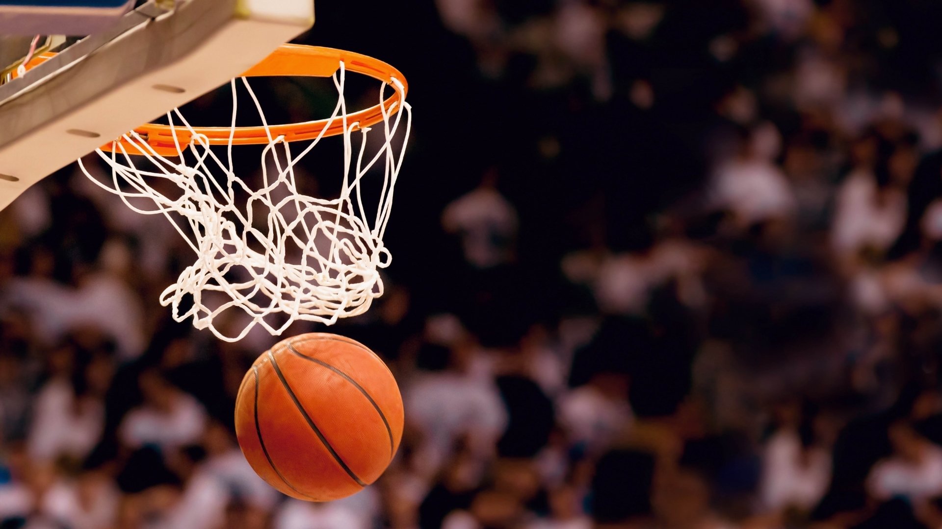 热传:约基奇来袭!换人、点球(nba开局融合约基奇模板笔趣阁)